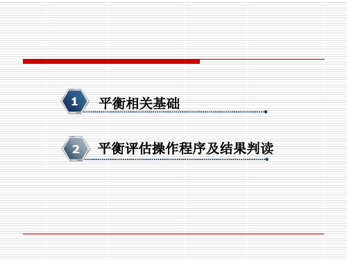 医学课件平衡评估TecnobodyPK系统