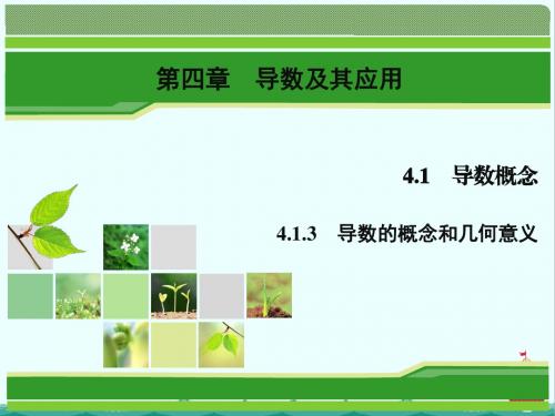 数学同步优化指导(湘教版选修2-2)课件:4.1.3 导数的概念和几何意义