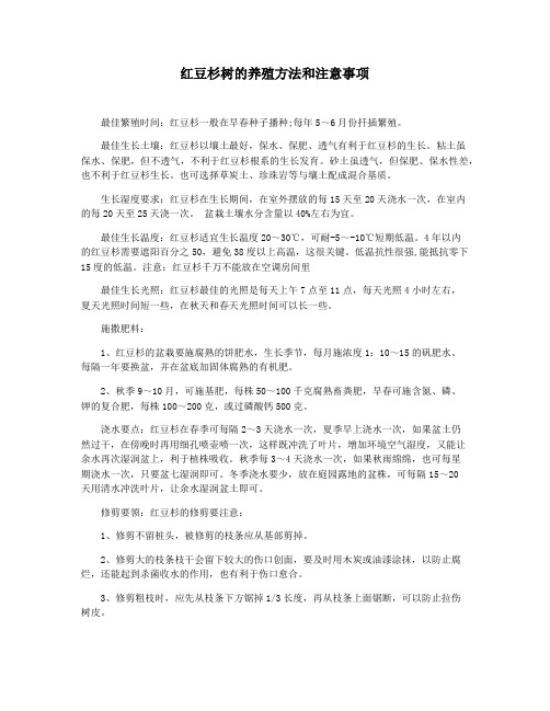 红豆杉树的养殖方法和注意事项