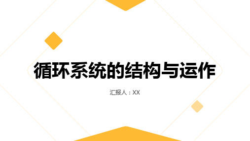 循环系统的结构与运作教学教案