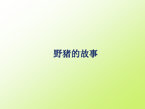 野猪的故事