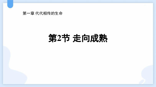 《走向成熟》PPT教学课件