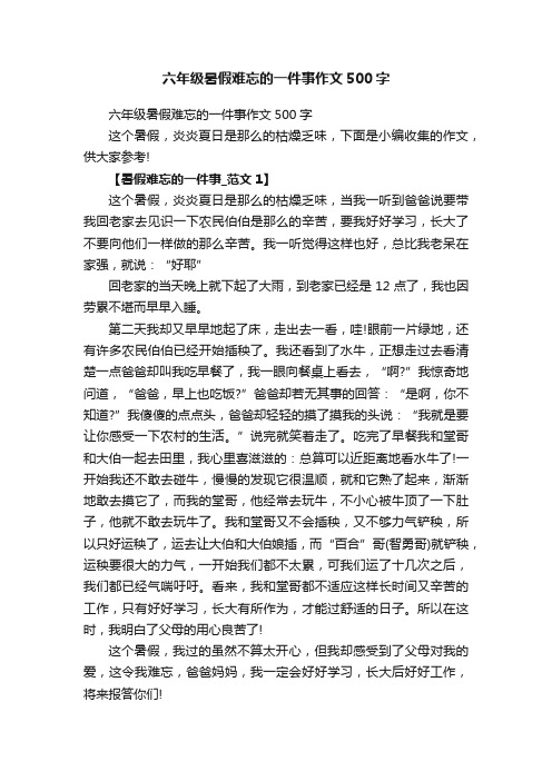 六年级暑假难忘的一件事作文500字