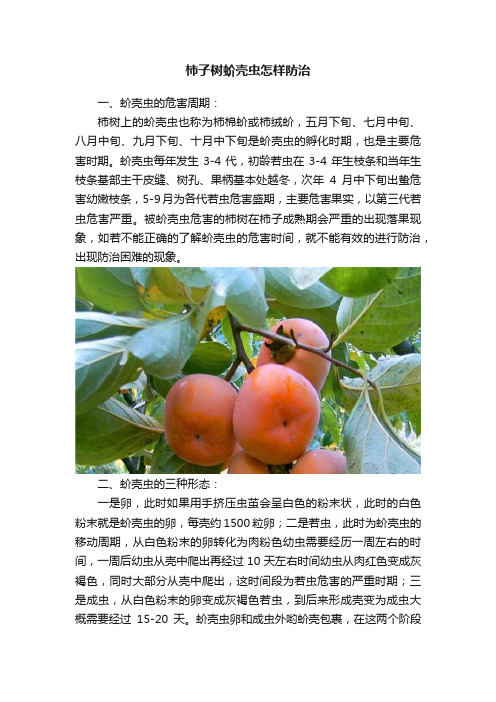 柿子树蚧壳虫怎样防治