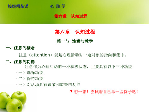 第六章 认知过程