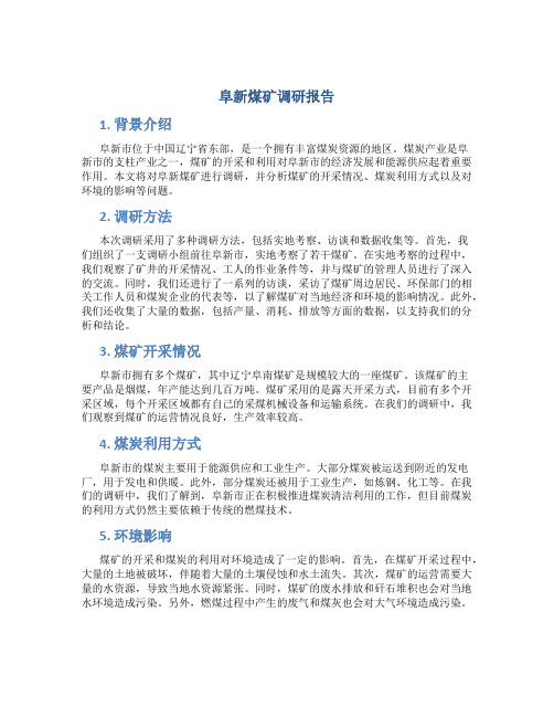 阜新煤矿调研报告