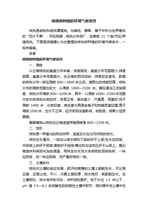 核桃树种植的气候条件_核桃树适合在什么环境下生长