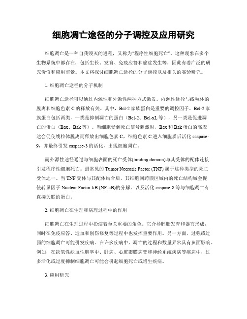 细胞凋亡途径的分子调控及应用研究