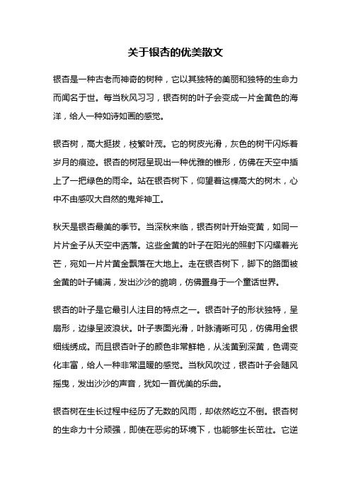 关于银杏的优美散文