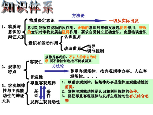 唯物论原理的主观题训练