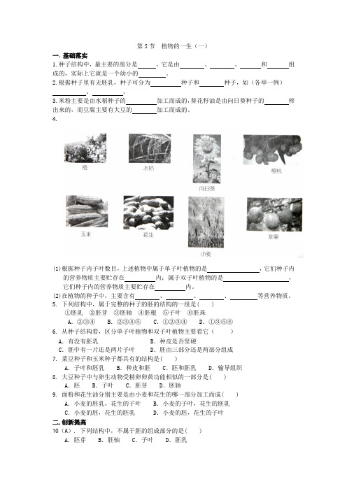 七年级科学植物的一生测试题