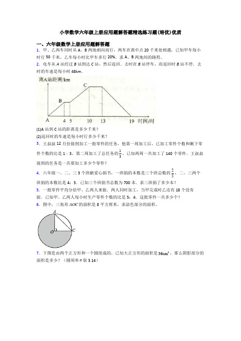 小学数学六年级上册应用题解答题精选练习题(培优)优质