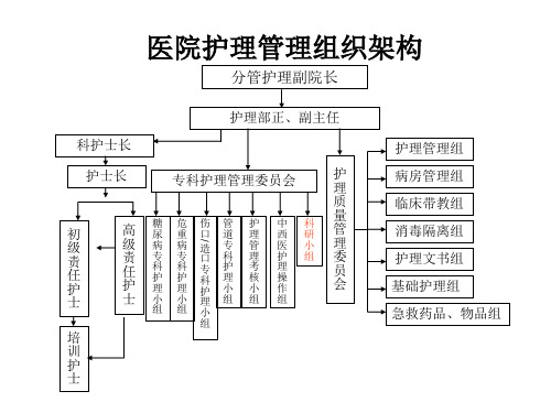 医院护理管理组织架构