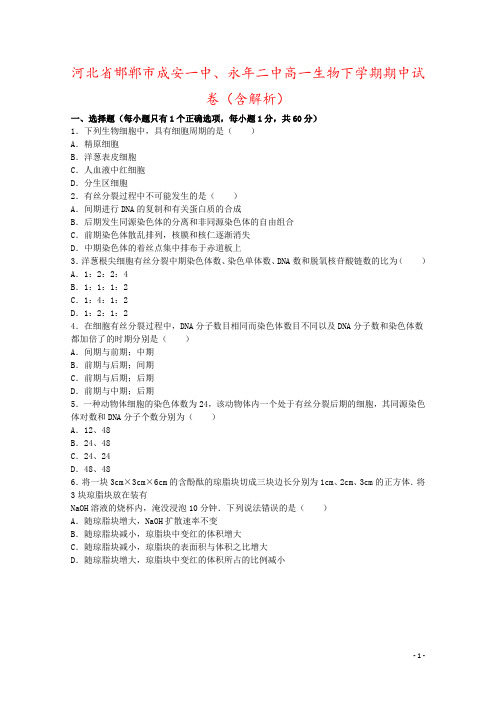 河北省邯郸市成安一中、永年二中高一生物下学期期中试卷(含解析)