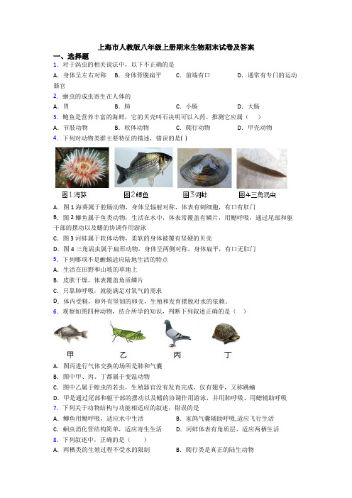 上海市人教版八年级上册期末生物期末试卷及答案