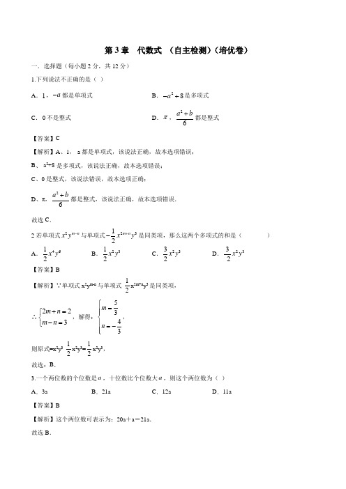 第3章 代数式(自主检测)(培优卷)(解析版)