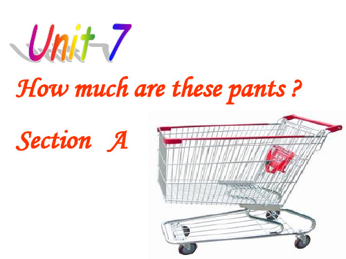 unit-7how-much-are-these-pants优质说课稿人教新目标七年级上