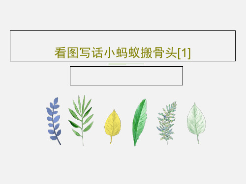 看图写话小蚂蚁搬骨头[1]18页PPT
