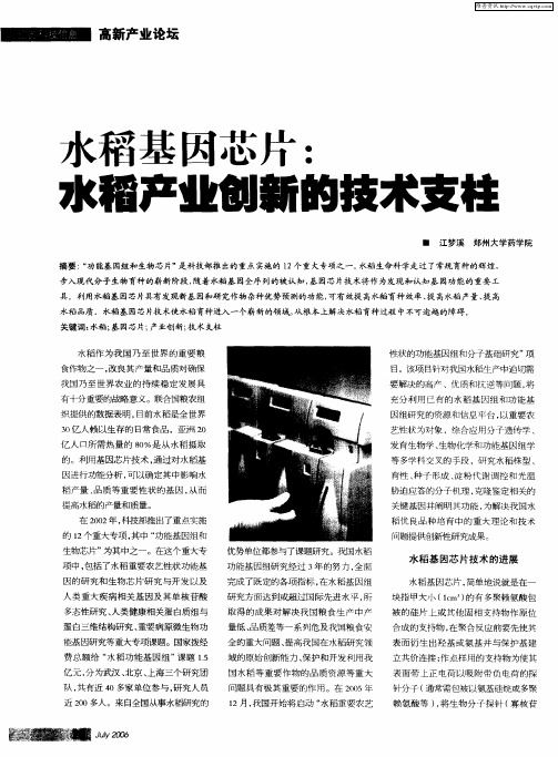 水稻基因芯片：水稻产业创新的技术支柱