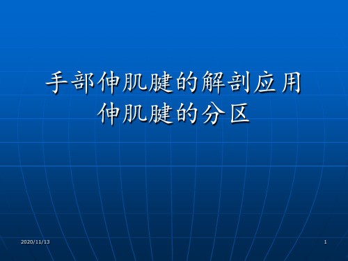 手部伸肌腱的解剖应用 ppt课件