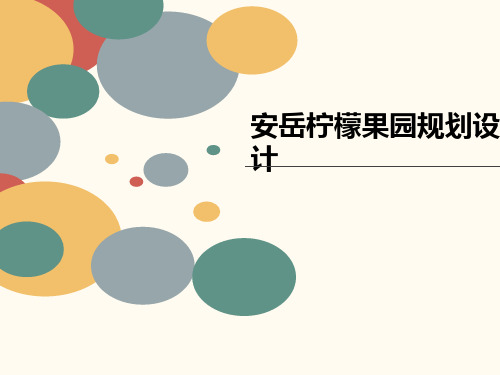 安岳柠檬果园规划设计