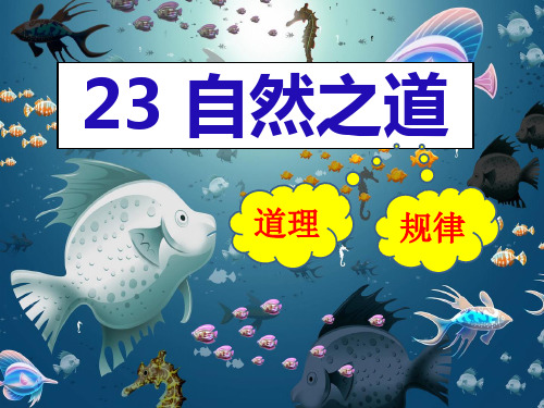 六年级上册语文课件-第五单元 23 自然之道(语文S版) (共17张PPT)