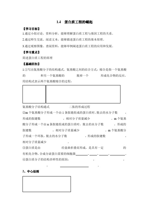 人教版高中生物选修3 1.4《蛋白质工程的崛起》导学案