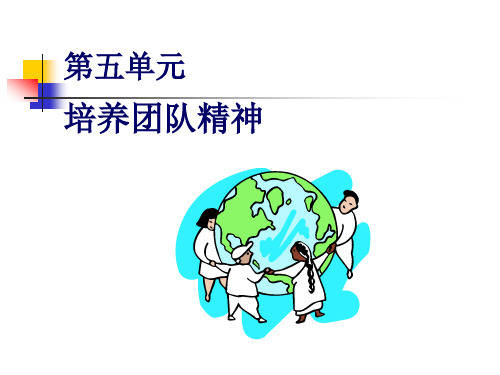 团队精神训练(ppt18页).pptx