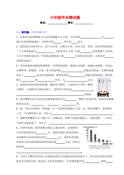 大象版科学六年级毕业测试题(简版)