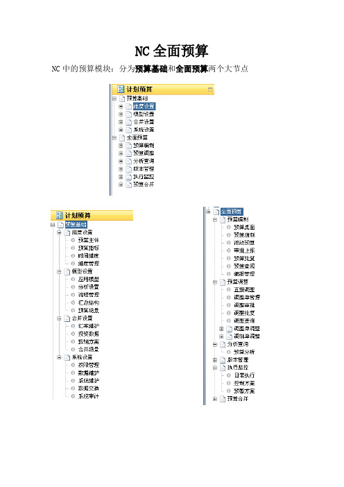 NC全面预算笔记