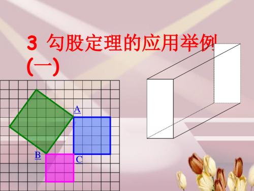 勾股定理的应用1