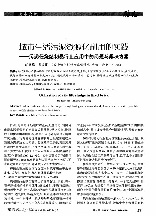 城市生活污泥资源化利用的实践——污泥在烧结制品行业应用中的问题与解决方案