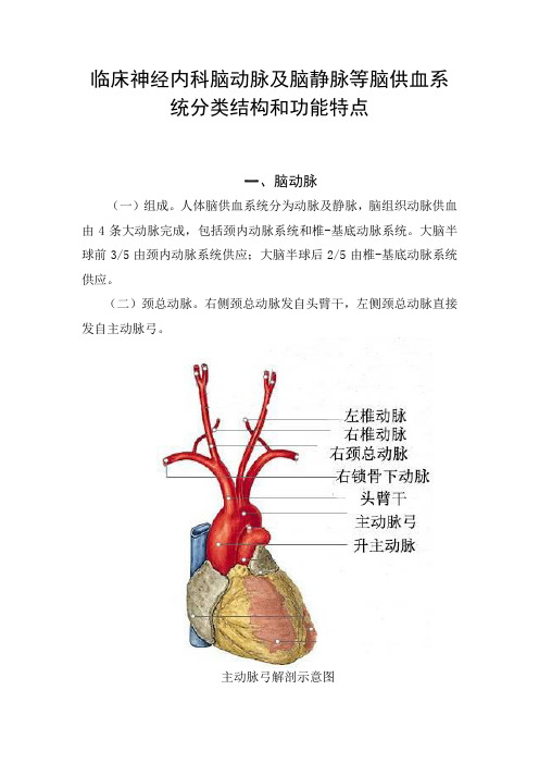 临床神经内科脑动脉及脑静脉等脑供血系统分类结构和功能特点