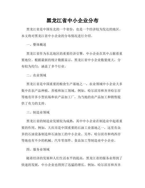 黑龙江省中小企业分布