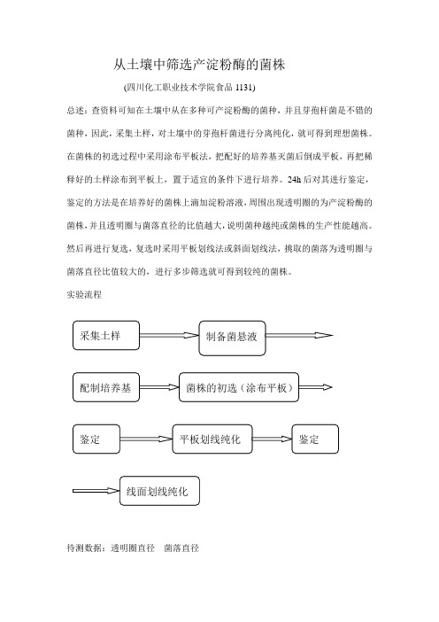 从土壤中筛选产淀粉酶的细菌菌1