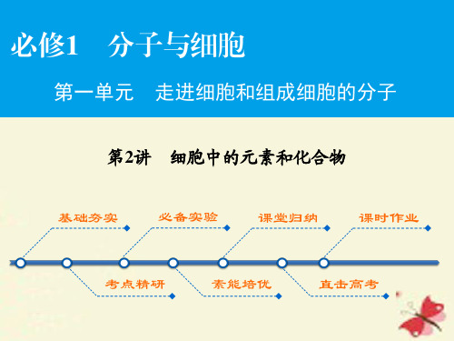 2017高考生物大一轮复习 第1单元 走进细胞和组成细胞的分子 第2讲 细胞中的元素和化合物(必修1)