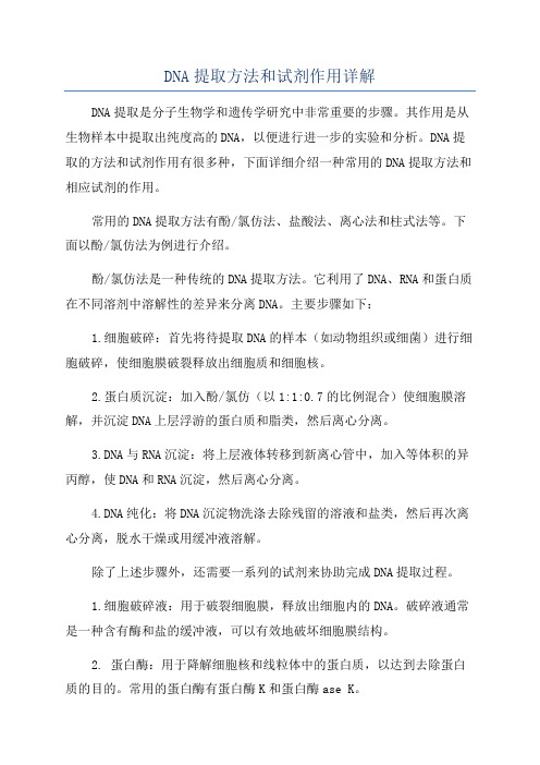 DNA提取方法和试剂作用详解