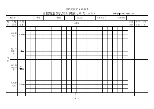 实测实量记录表格式