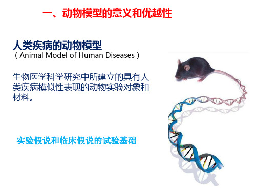 酸碱平衡紊乱动物模型的复制方法1手术准备