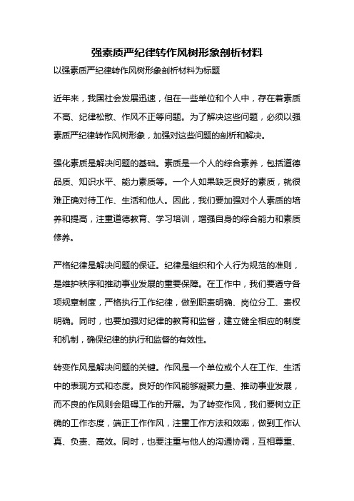 强素质严纪律转作风树形象剖析材料