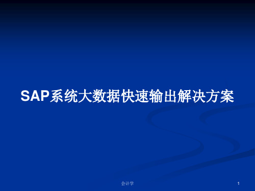 SAP系统大数据快速输出解决方案PPT教案