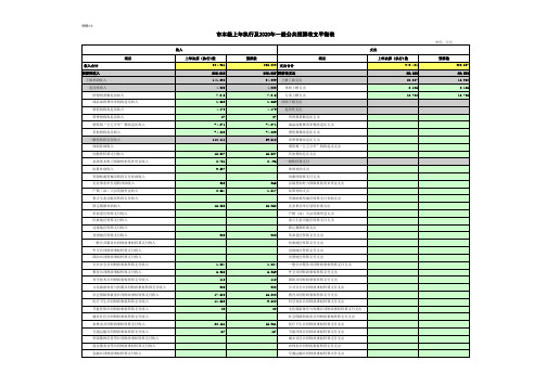 市本级上年执行及2020年一般公共预算收支平衡表