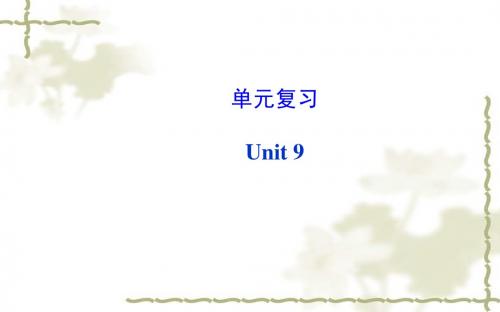 2014秋新目标英语八年级上册单元复习课件：Unit 9 单元复习