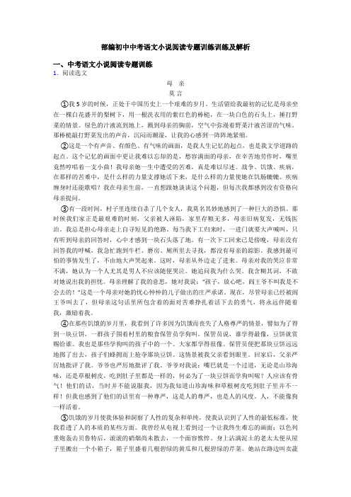 部编初中中考语文小说阅读专题训练训练及解析