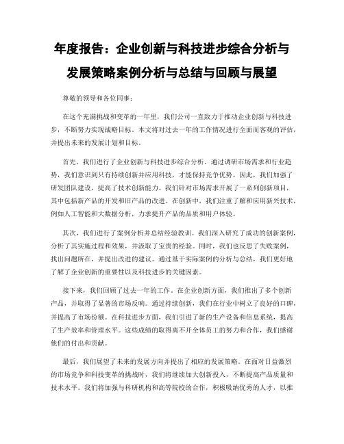 年度报告：企业创新与科技进步综合分析与发展策略案例分析与总结与回顾与展望