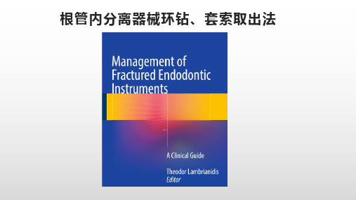 根管内分离器械环钻、套索取出法