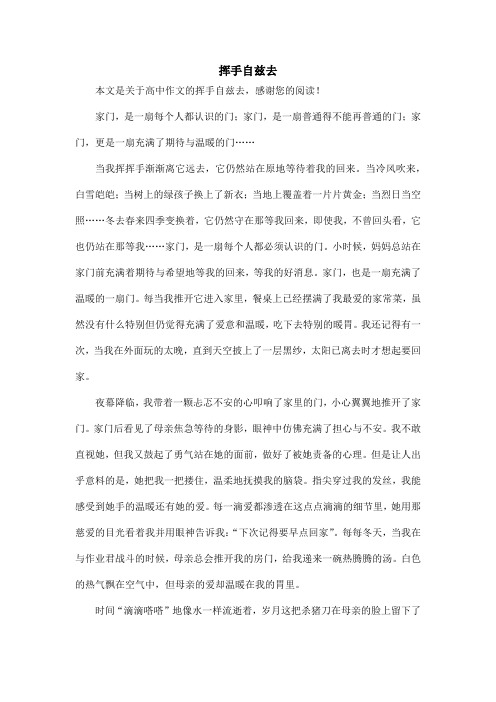 挥手自兹去_高中作文
