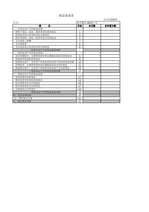 现金流量表(与税务申报格式一致)