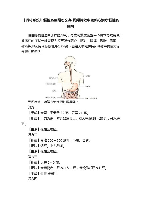 『消化系统』假性肠梗阻怎么办?民间特效中药偏方治疗假性肠梗阻