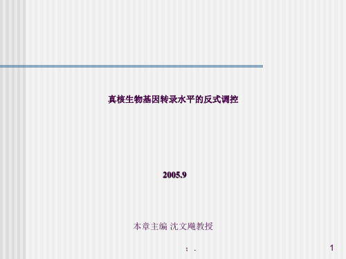 真核生物基因转录水平的反式调控ppt课件